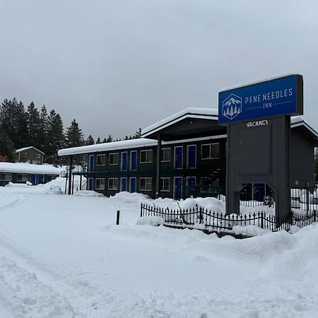 Pine Needles Inn Mount Shasta Bagian luar foto